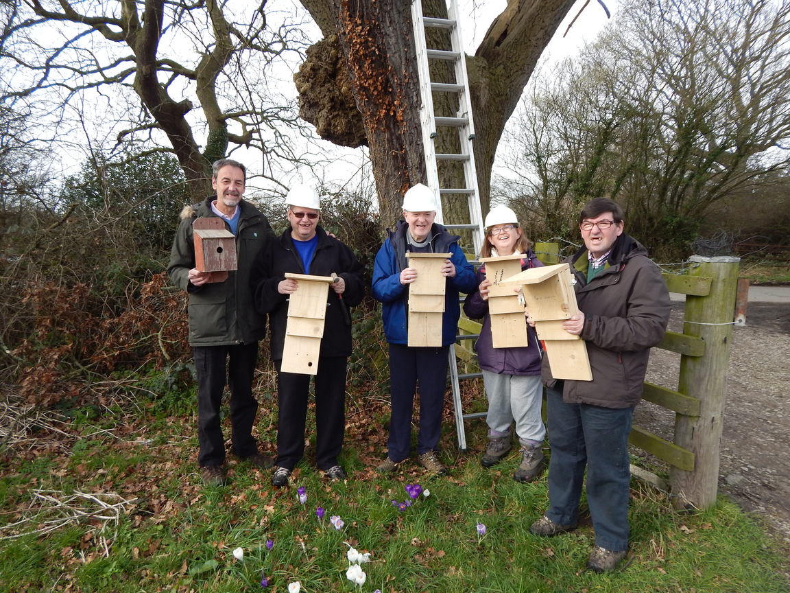 Five people with hard hats on standing next to a big tree holding bat boxes.