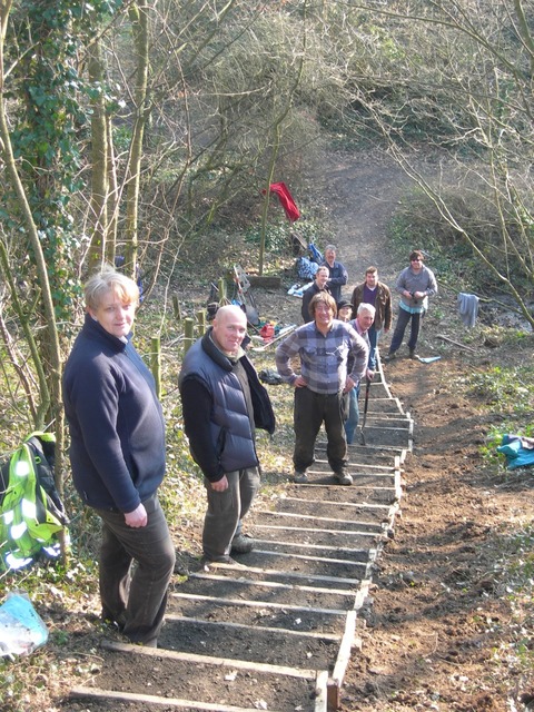 The Nature and Natterers group standing on some steps they have just built in a woodland.