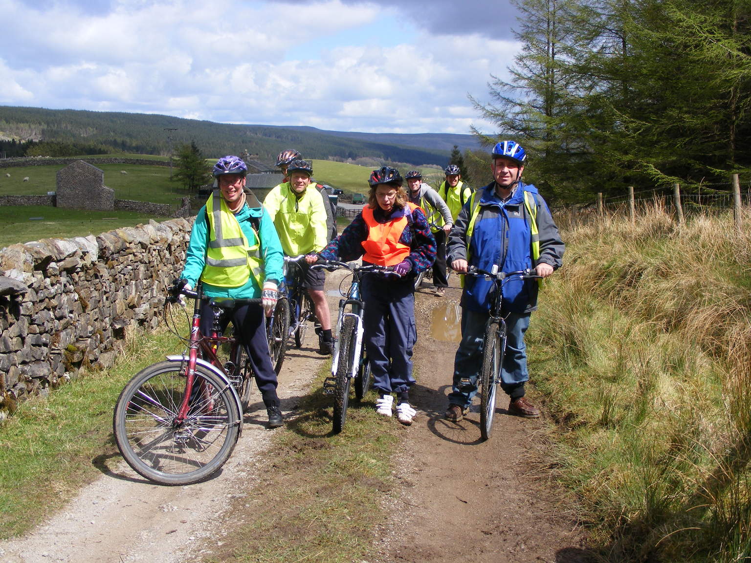 Four people on bicycles on a forest track next to a dry stone wall.