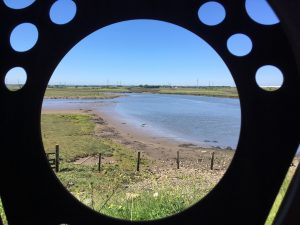 A view from a round window looking onto a nature reserve