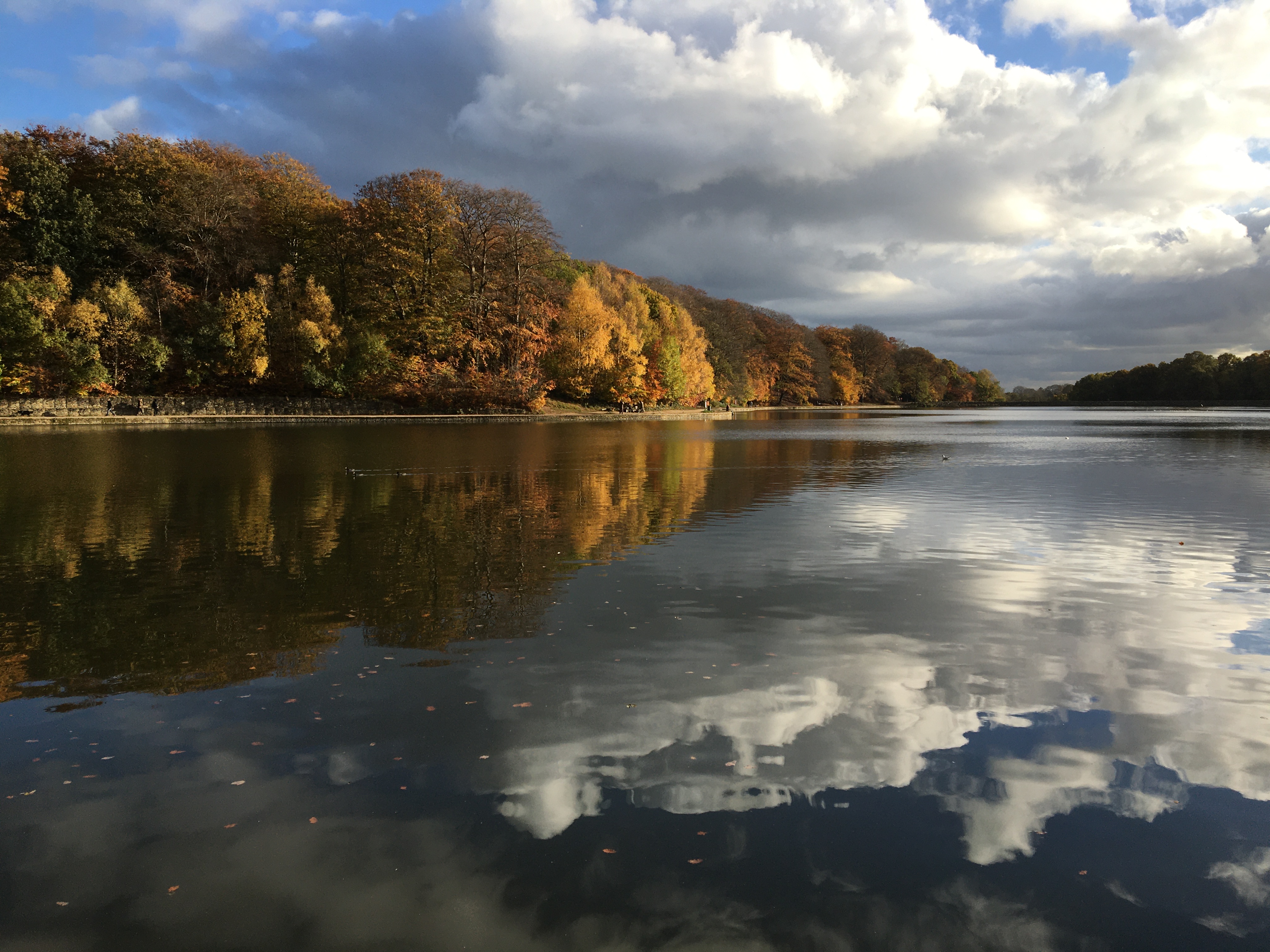 A lake with trees behind in soft light