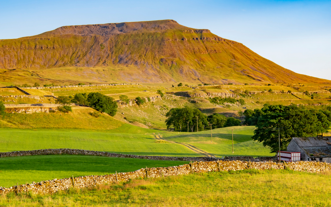 Wild Ingleborough – have your say