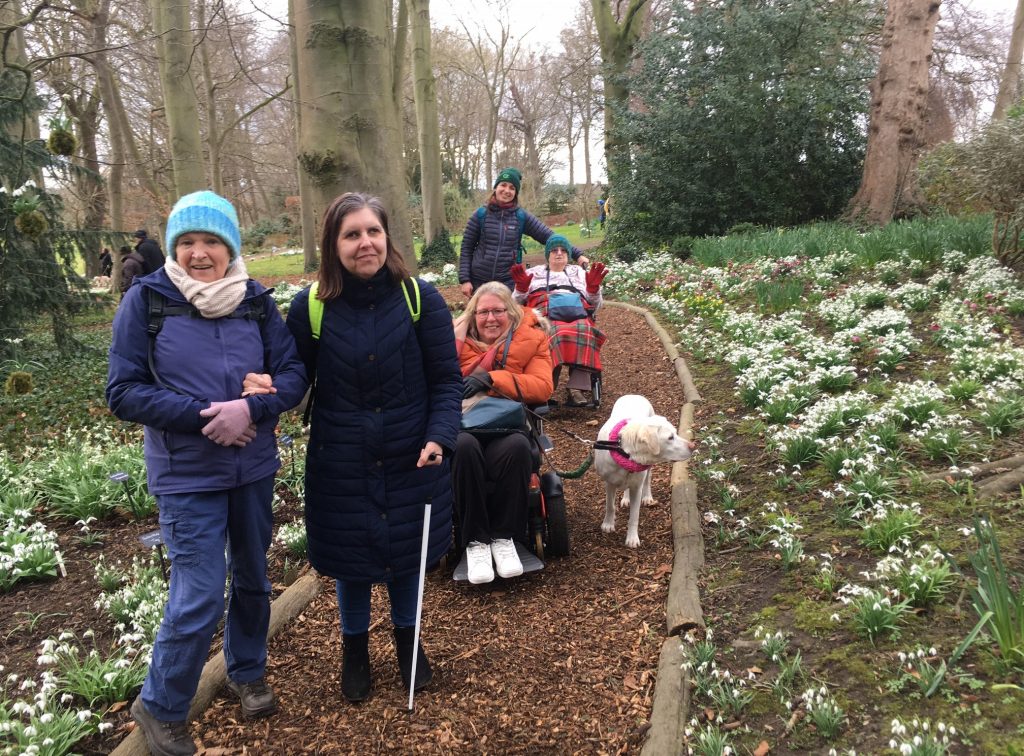 A group of people on a woodland path next to snowdrops