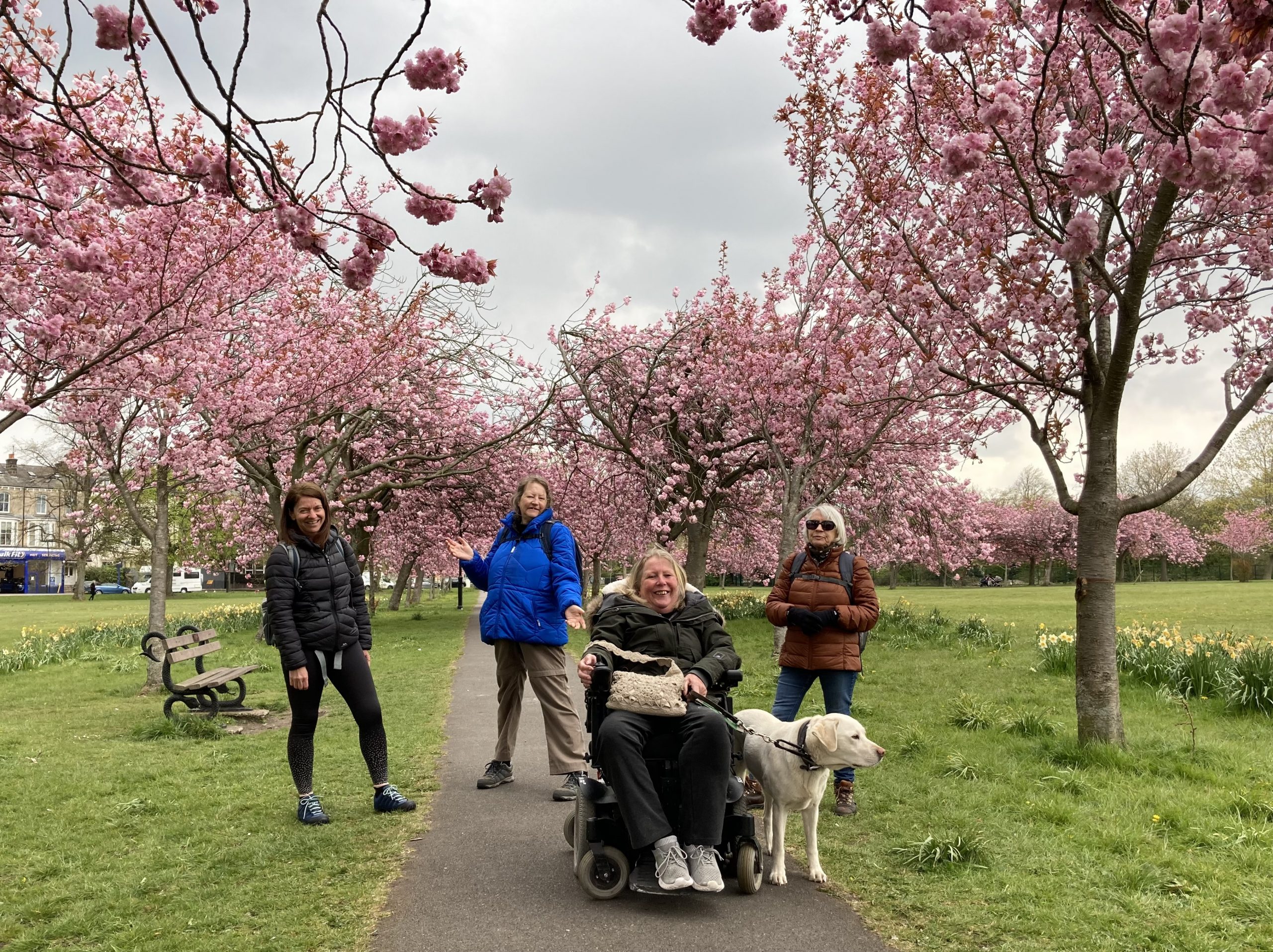 Five people and a dog standing by some cherry trees in blossom