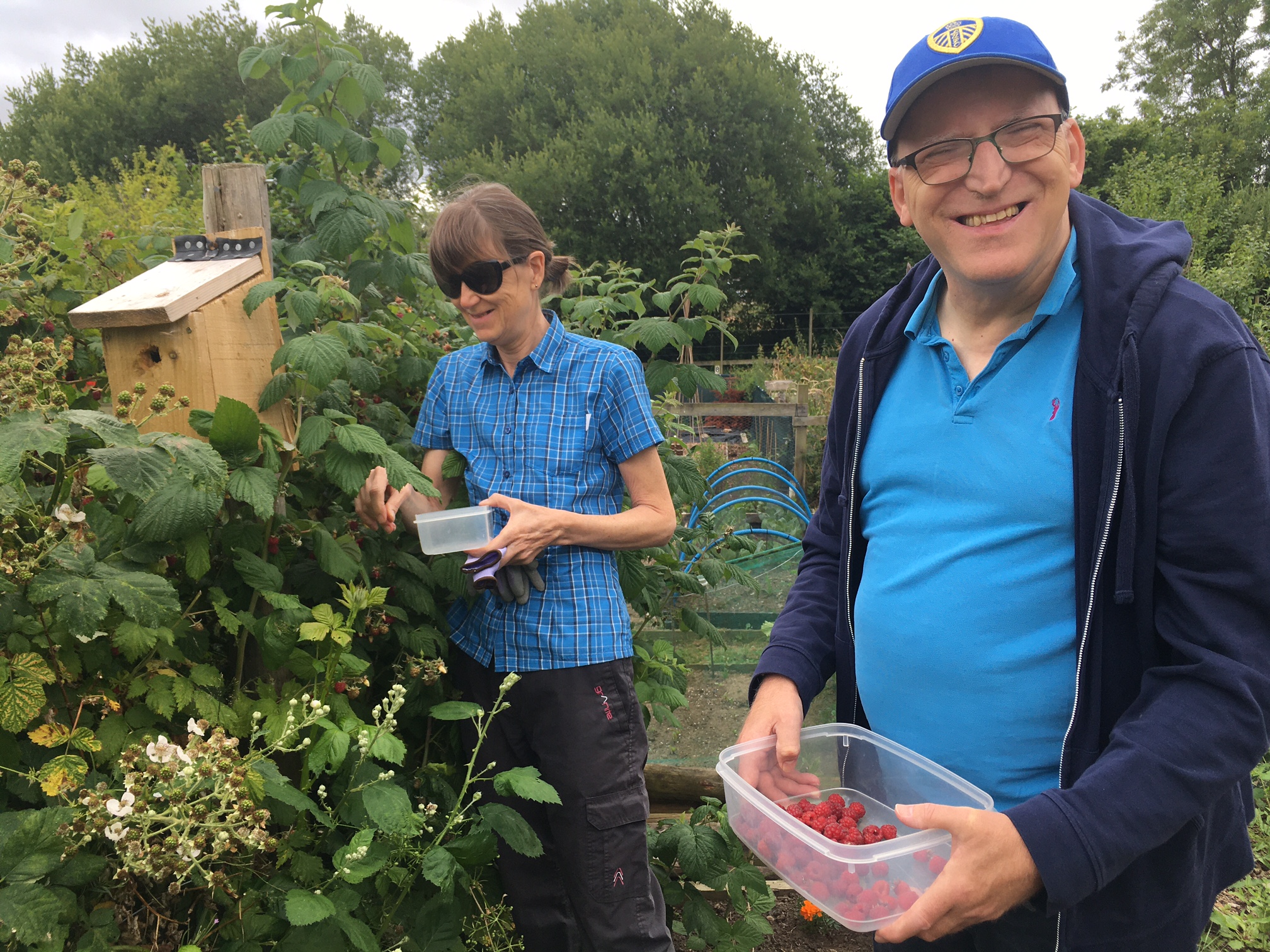 A man and a woman picking fruit down an allotment