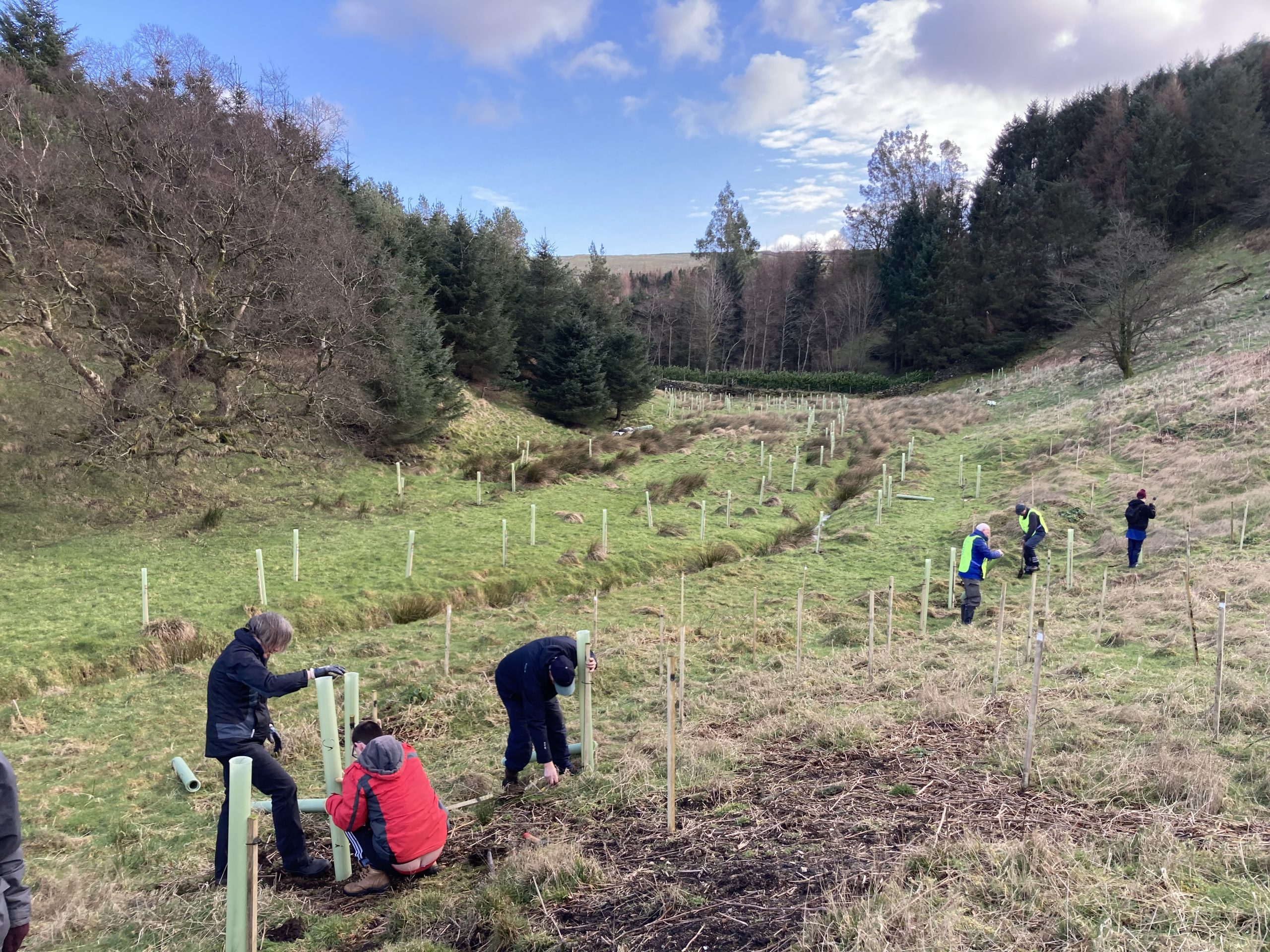 A group of people planting trees in the countryside