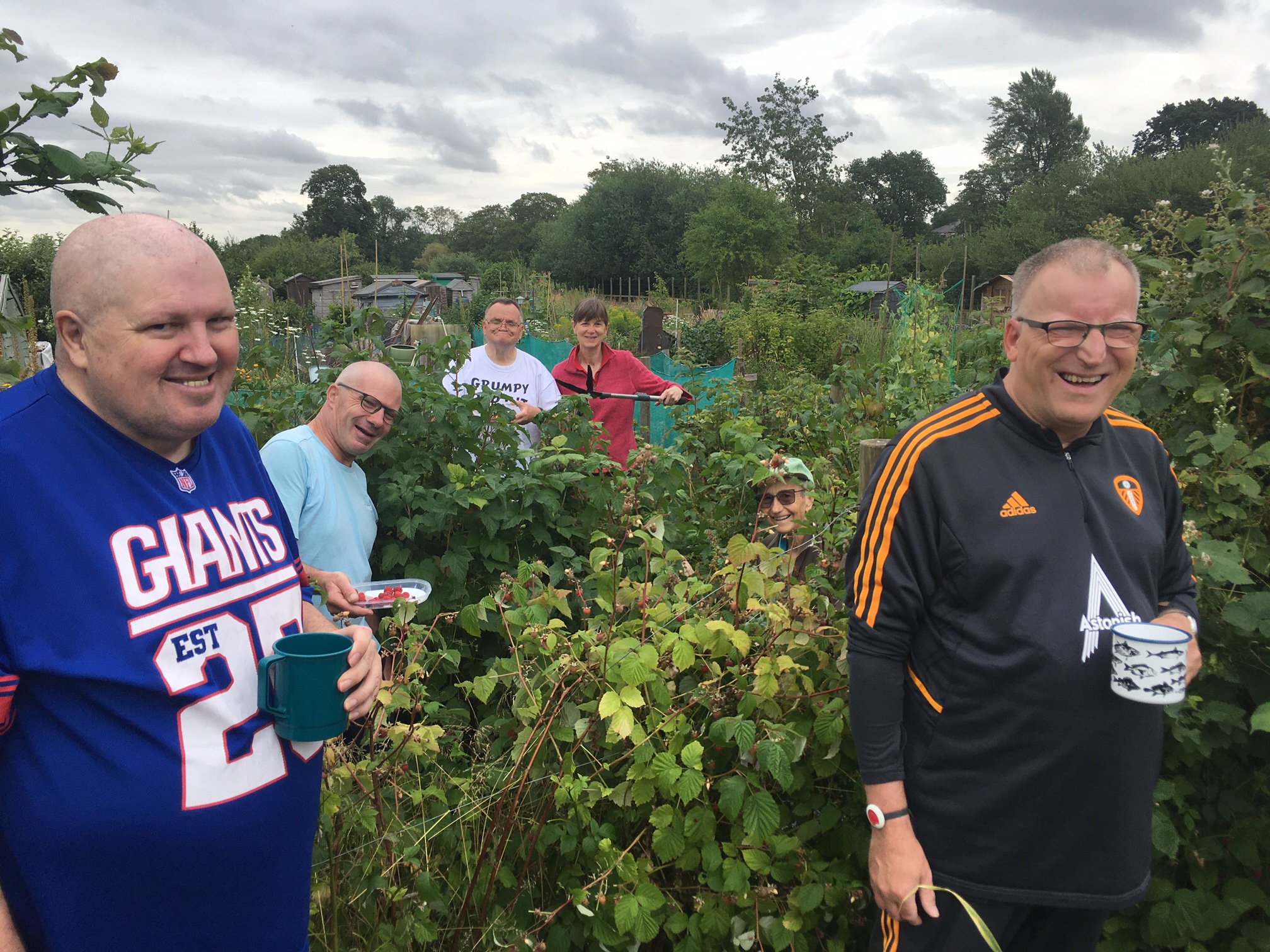 A group of people picking fruit at an allotment