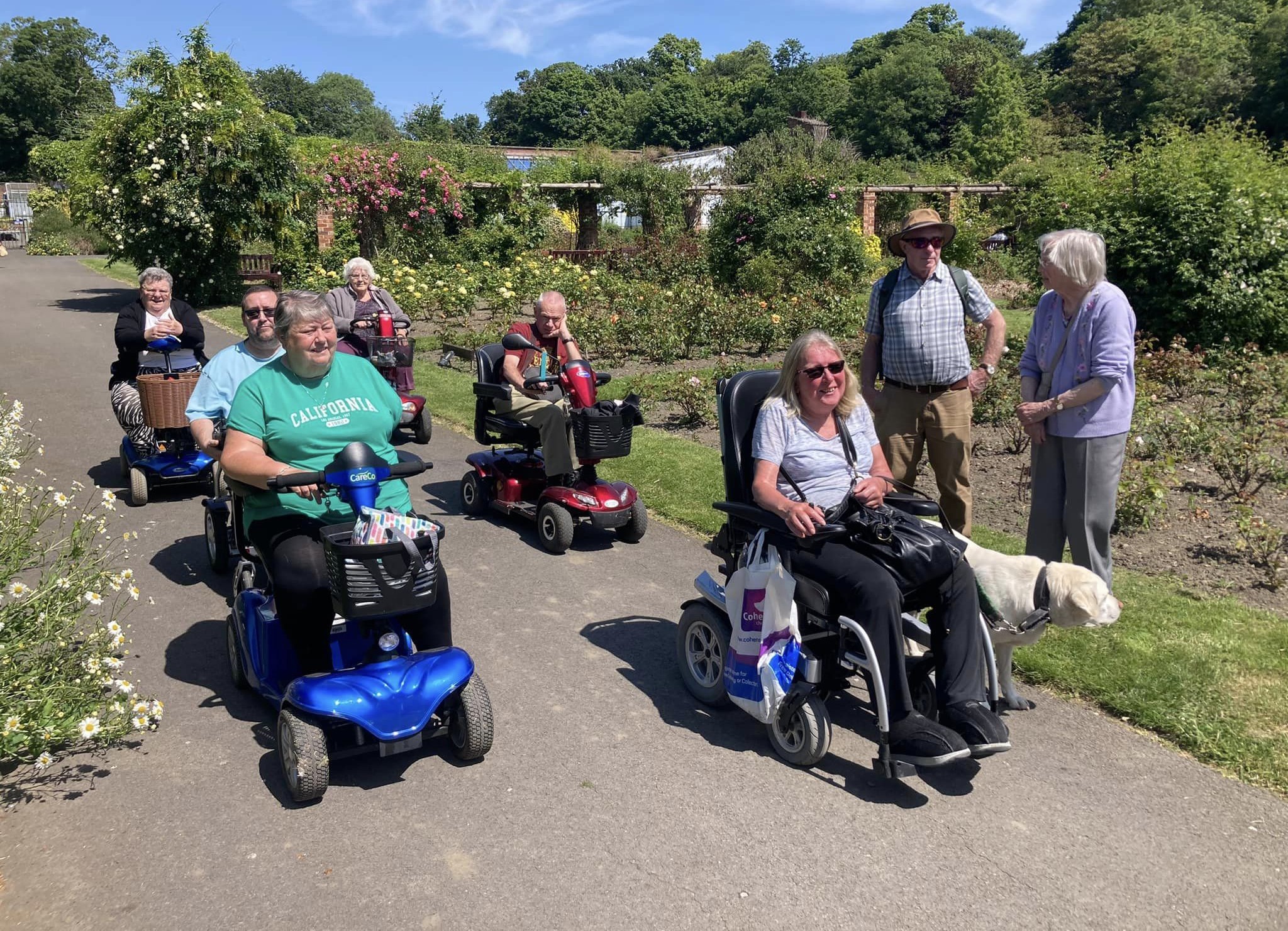 A group of mobility scooter users in a sunny park