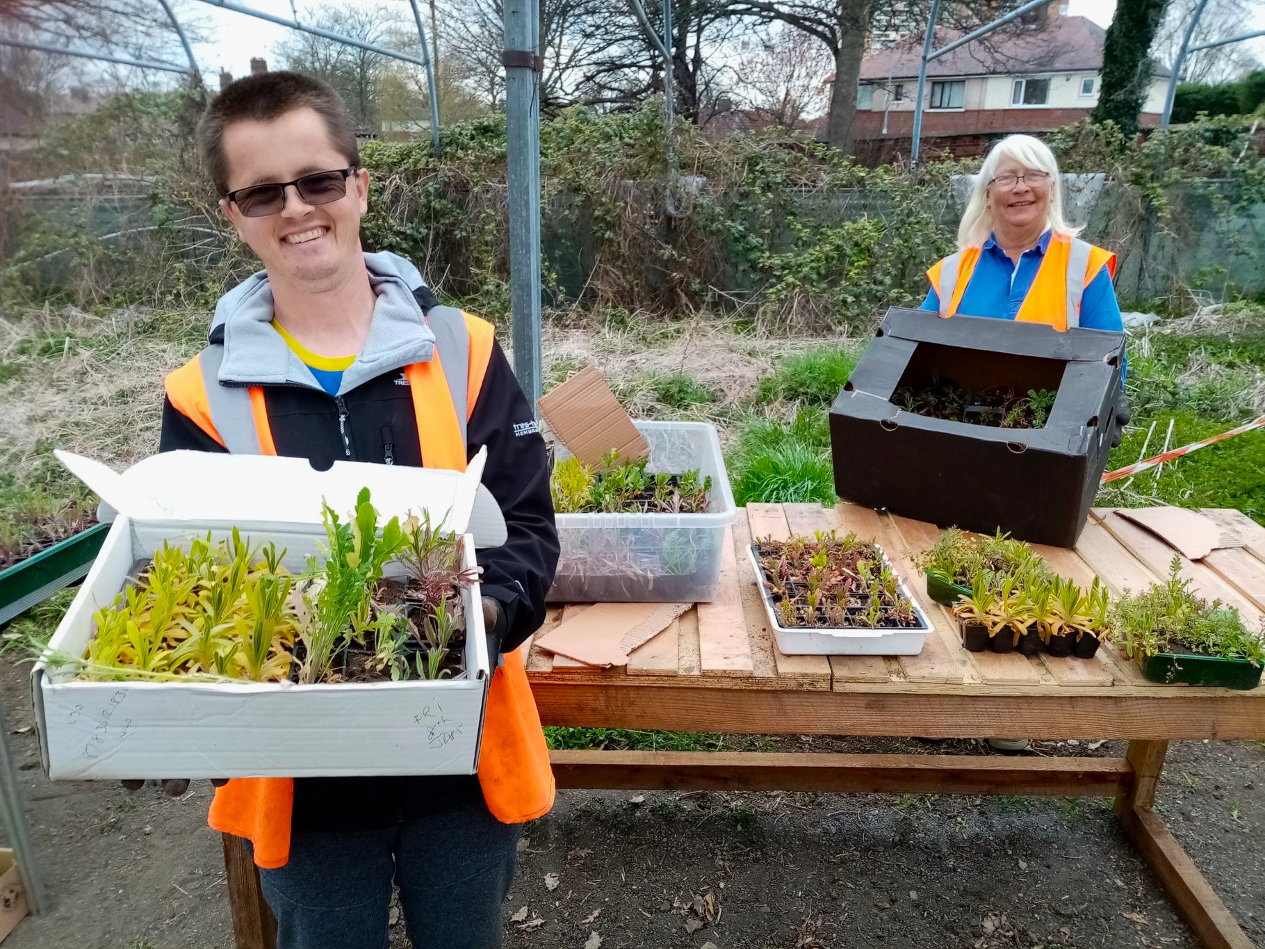 A man and a woman holding trays of seedlings